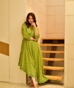 blush green embroidered dress