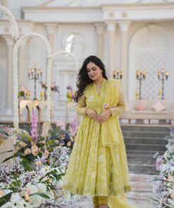 FADED YELLOW ORGANZA SUIT SET
