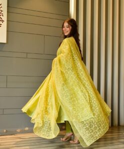 light green chanderi suit set