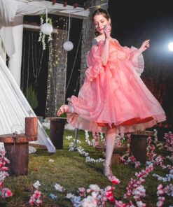 prisha organza dress